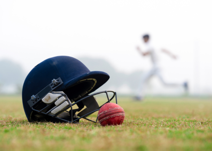 Play a game of cricket with a celebrity cricketer