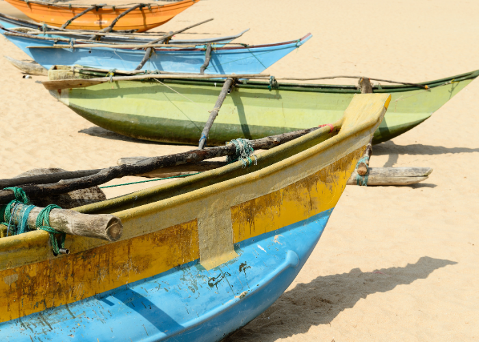 Amazing race from Yala to Tangalle